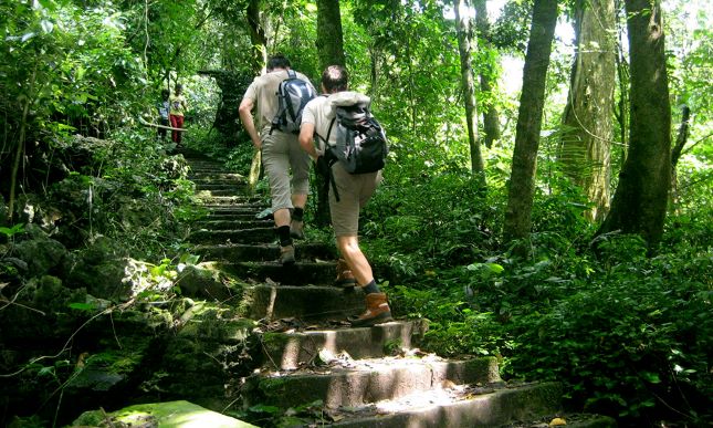 Trekking dans la jungle de Cuc Phuong