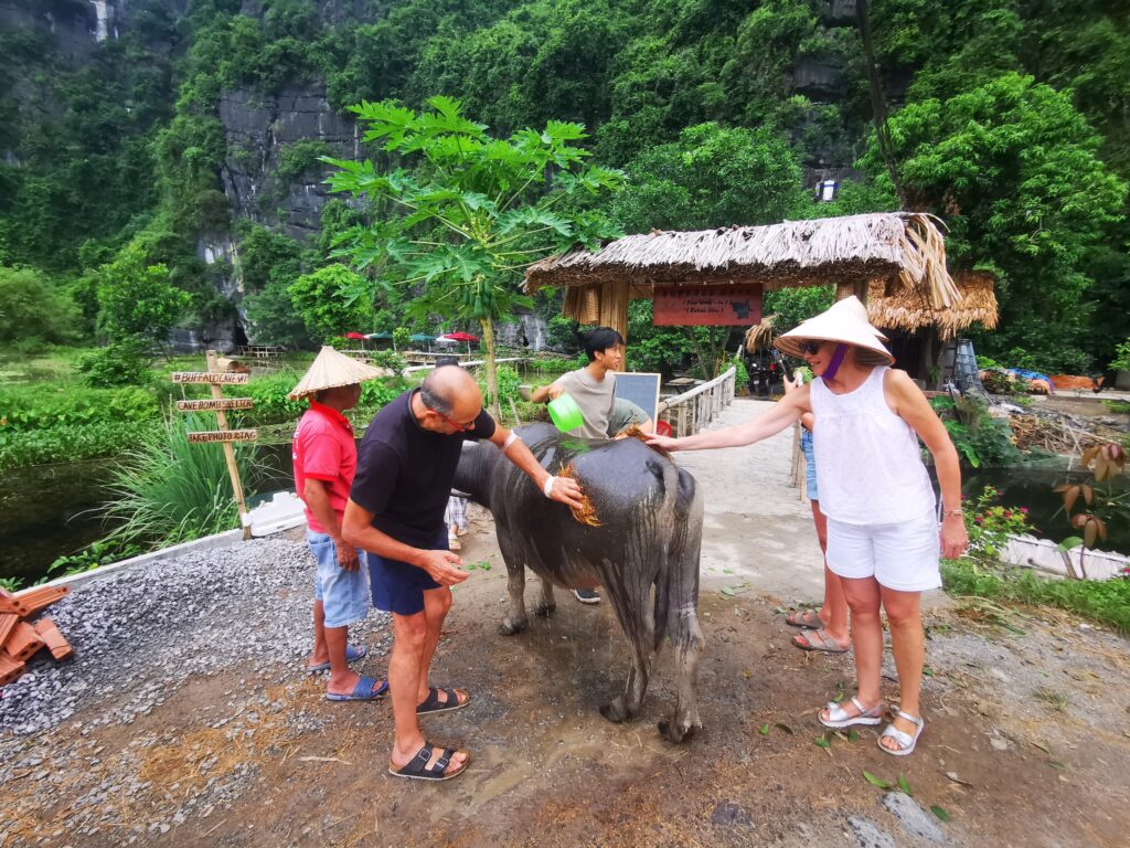 Nông trại Ốc và Gà truyền thống