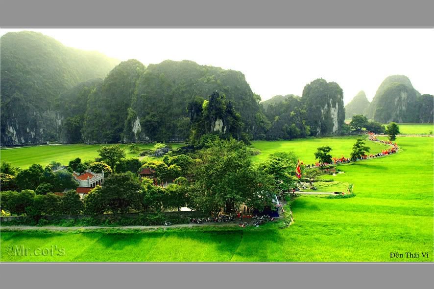Đền Thái Vi