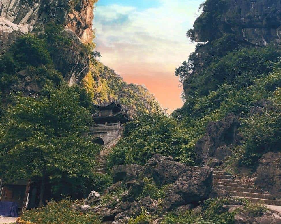 Tuyệt Tình Cốc